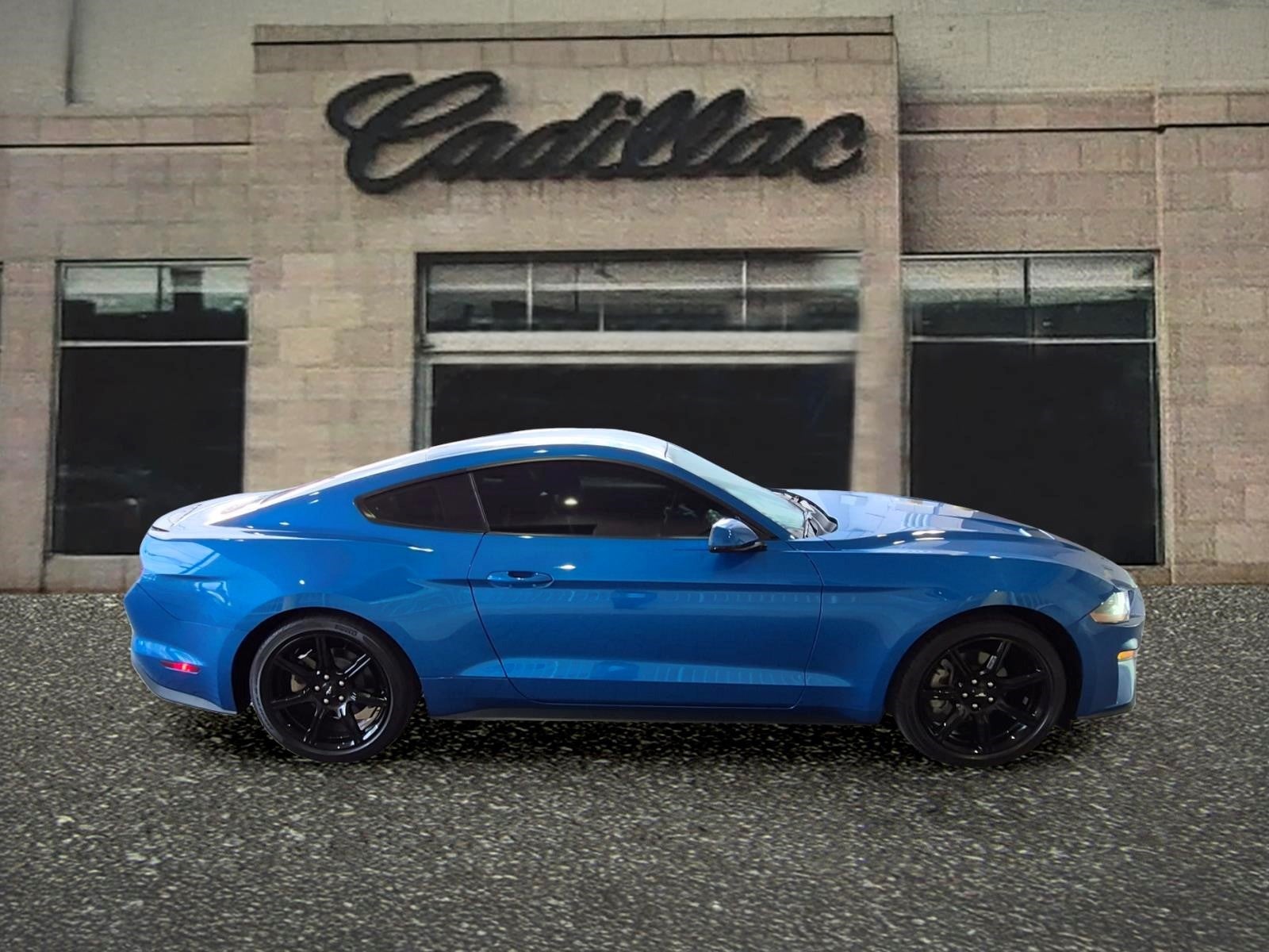 2019 Ford Mustang EcoBoost