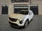 2019 Cadillac XT4 AWD Premium Luxury